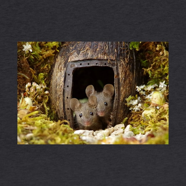 two wild mouse at the  wood pile door by Simon-dell